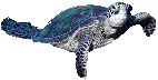 hwælweġ