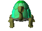 tortoise